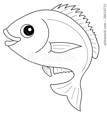 Sea bream smile coloring page 38618722