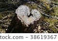 Heart-shaped wood cut 38619367