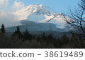 Mount Fuji  38619489