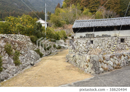 [Mie Prefecture Kumano City] Early spring Satoyama 38620494