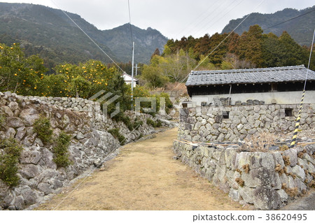 [Mie Prefecture Kumano City] Early spring Satoyama 38620495