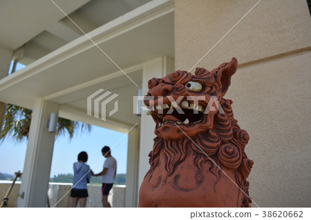 SHISA 38620662