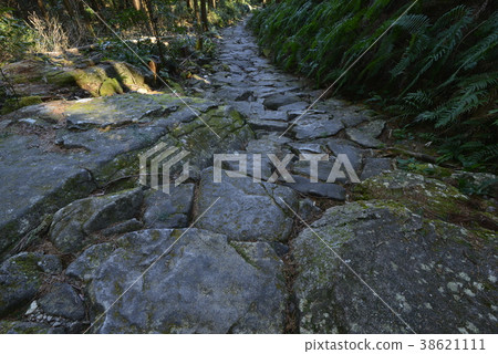 [熊野工道] Magoshi Pass 38621111