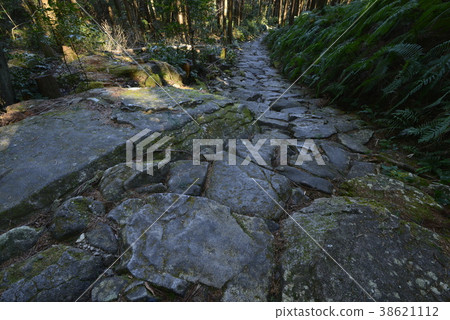 [熊野工道] Magoshi Pass 38621112