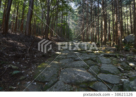 [Kumano Kodo] Magoshi Pass 38621126