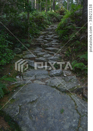 [Kumano Kodo] Magoshi Pass 38621138