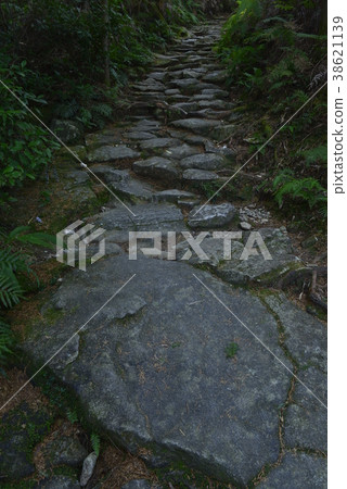 [Kumano Kodo] Magoshi Pass 38621139