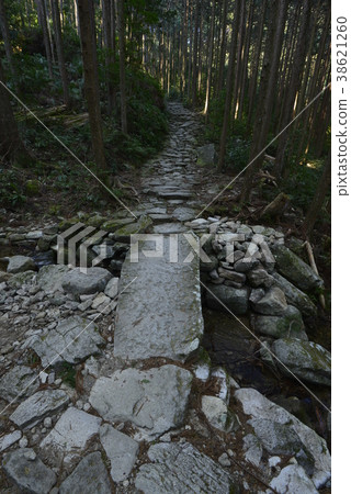 [Kumano Kodo] Magoshi Pass 38621260