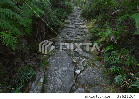 [Kumano Kodo] Magoshi Pass 38621264