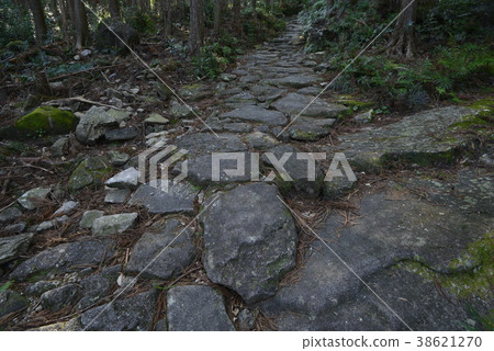 [熊野工道] Magoshi Pass 38621270