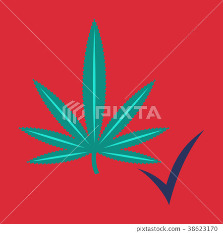 Flat hand drawn color botanical illustration of 38623170