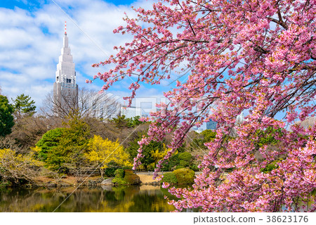 Tokyo, Japan Spring 38623176