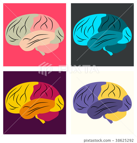 Set of brain illustration in flat monochrome color Set of brain illustration in flat monochrome color 38625292