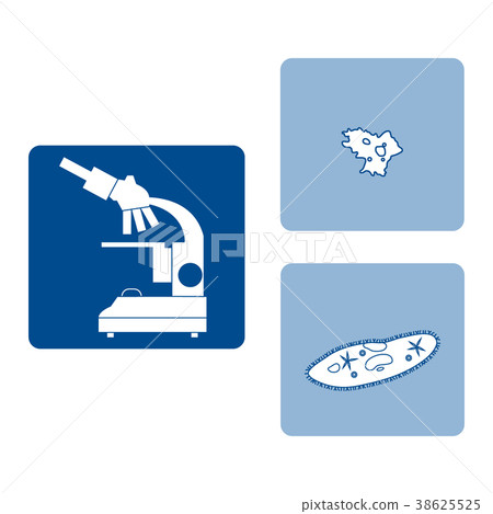 microscope, amoeba, ciliate-slipper 38625525