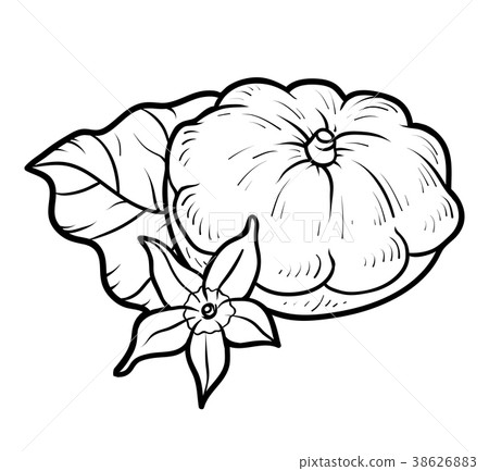 Coloring book, Pattypan squash 38626883
