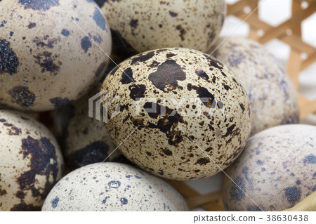 Quail eggs Quail eggs 38630438