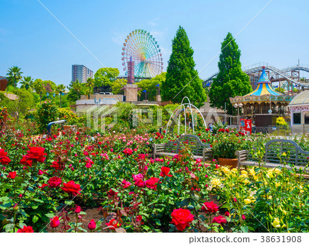 枚方公園的玫瑰園 枚方公園的玫瑰園 38631908