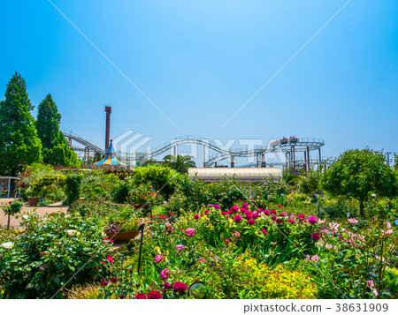 枚方公園的玫瑰園 38631909