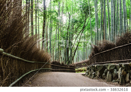 京都Sagano竹林道 京都Sagano竹林道 38632618