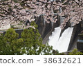 Dam from the cherry blossoms 38632621