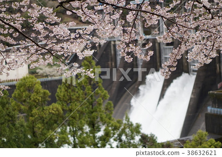 Dam from the cherry blossoms Dam from the cherry blossoms 38632621