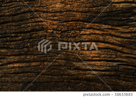 Old wood textured closeup background 38633683