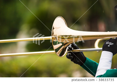 Trumpet Trumpet 38633735