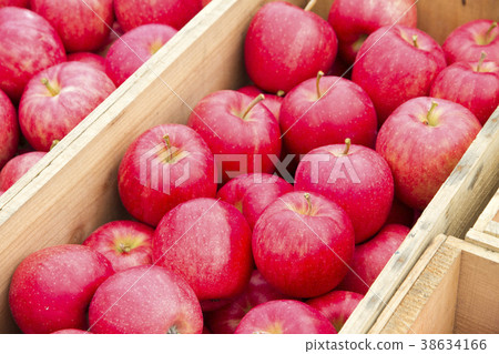 Apple boxed Apple boxed 38634166
