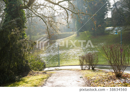 奧地利林茨的新鮮綠色 38634560