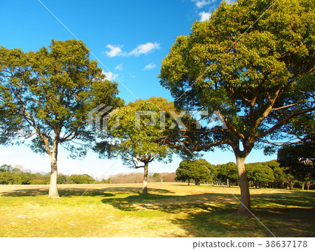 Steppe scenery with a perch 38637178