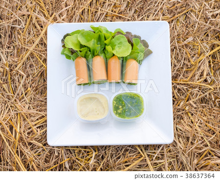 Salad roll green and red oak organic 38637364