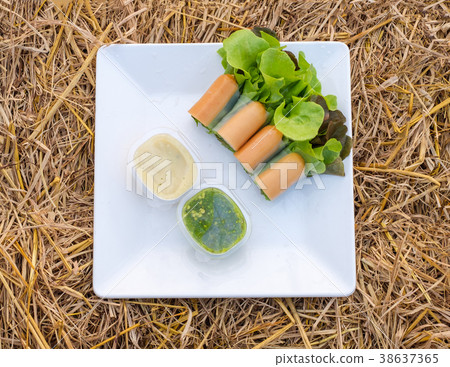 Salad roll green and red oak organic Salad roll green and red oak organic 38637365