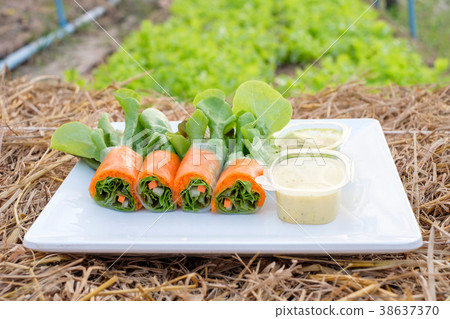 Salad roll green and red oak organic 38637370