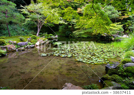 南連花園 38637411