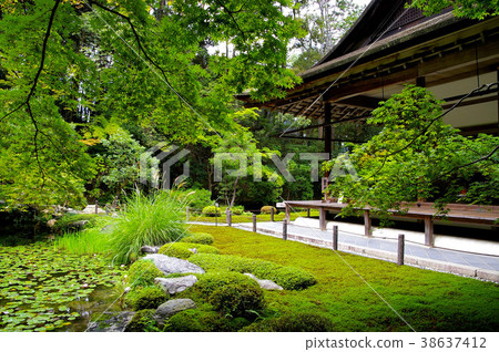 南連花園 38637412