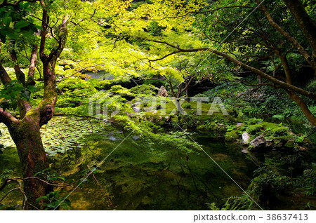 南連花園 38637413