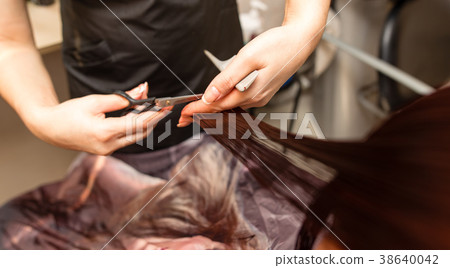 Female haircut with scissors in the beauty salon Female haircut with scissors in the beauty salon 38640042