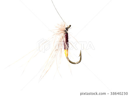 fly for fishing on a white background fly for fishing on a white background 38640230