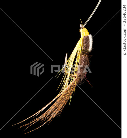 fly to catch fish on a black background fly to catch fish on a black background 38640234
