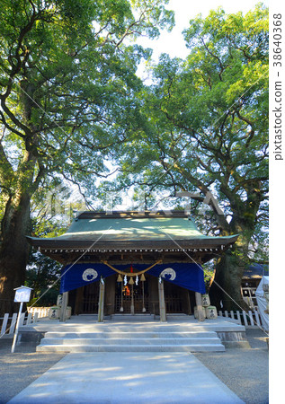 Nobeoka的春日神社 Nobeoka的春日神社 38640368