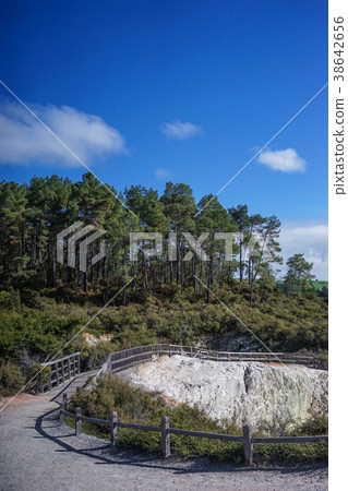 Lady Knox Geyser in New Zealand Lady Knox Geyser in New Zealand 38642656