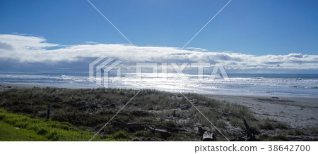 Seascape of North Island, New Zealand Seascape of North Island, New Zealand 38642700