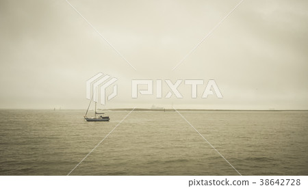 Sunrise on the sea in New Zealand 38642728