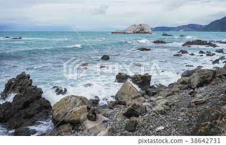 Seascape of North Island, New Zealand 38642731