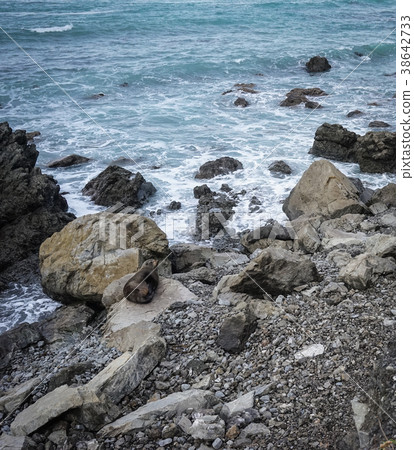 Seascape of North Island, New Zealand 38642733