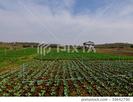 Rural scenery in Shan State, Myanmar 38642790