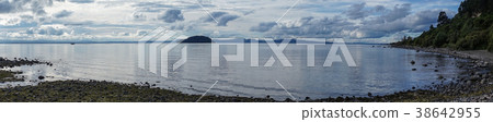 Seascape of New Zealand Seascape of New Zealand 38642955