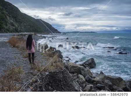 Seascape of New Zealand 38642970