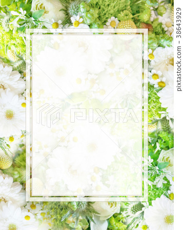 Background - Flower - Frame 38643929
