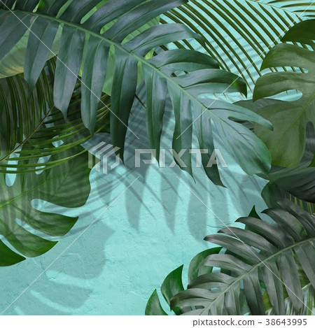 Background - Plants - Blue 38643995